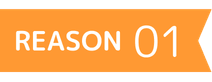 REASON 01