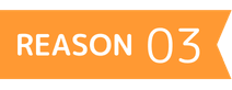 REASON 03