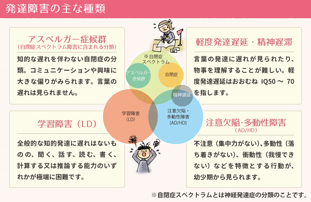 発達障害の主な種類 アスペルガー症候群（ASD）/軽度発達遅延・精神遅滞/学習障害（LD）/注意欠陥・多動性障害（ADHD）