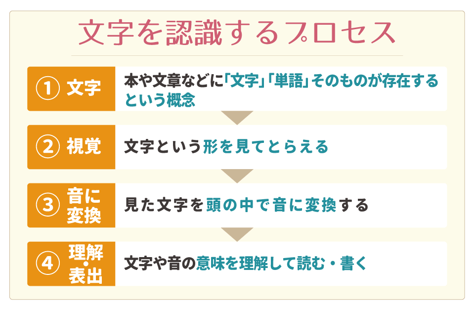 文字を認識するプロセスについて
①本や文章などに「文字」「単語」そのものが存在するという概念
②文字という形を見てとらえる
③見た文字を頭の中で音に変換する
④文字や音の意味を理解して読む・書く