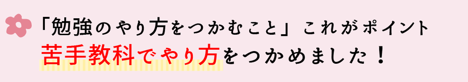 勉強のやり方をつかむことがポイント。苦手科目でやり方をつかめました。