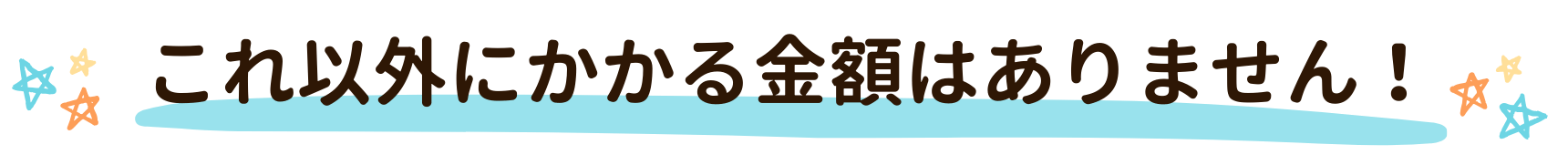 これ以外にかかる金額はありません!