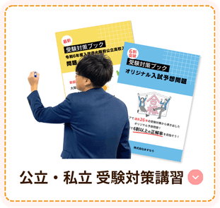 やる気アシストの2024年冬期講習・公立 私立 受験対策講習の詳細を見る