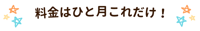 料金はひと月これだけ!