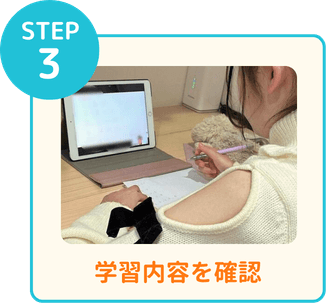 STEP3 学習内奥を確認